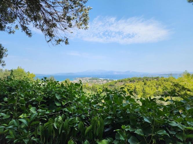 Özge Küçükkaya ile Çeşme'de Yoga Kampı