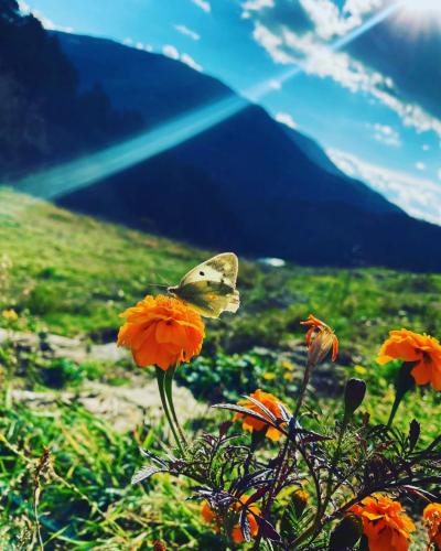 Kurban Bayramı'nda Bolu | Yoga, Doğal Nefes ve Koçluk Kampı