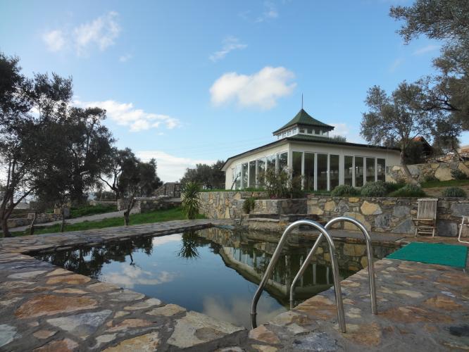 7 Günlük Vipassana