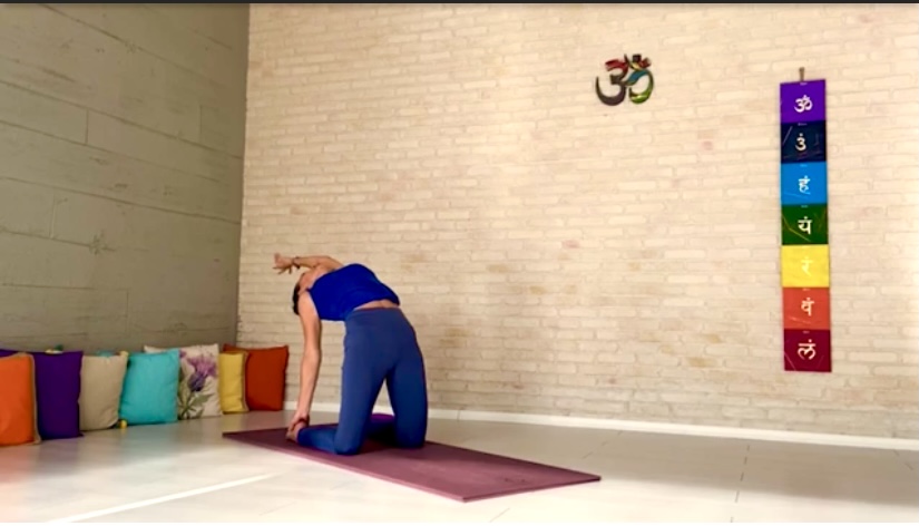 200 Saat Hatha Yoga Uzmanlık