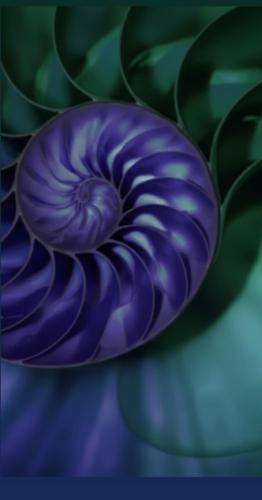 Jean Adrienne Arınma Sistemi (JAAS) Seans