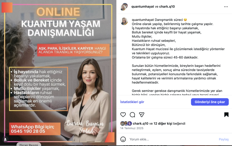 Online Danışmanlık