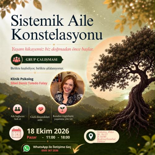 Sistemik Aile Konstelasyonu