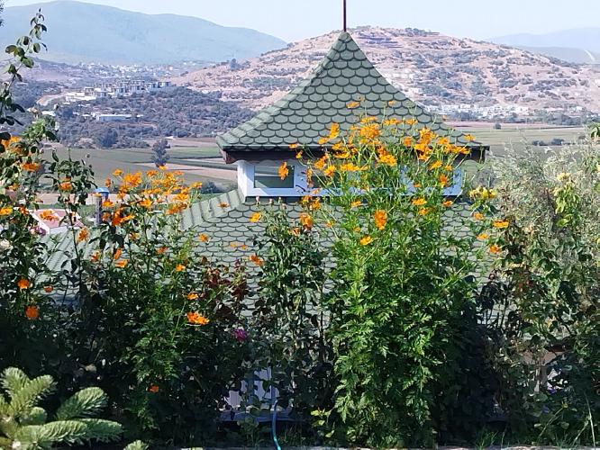 3 Günlük Mini Vipassana - Sessiz Koza İnziva Kampı