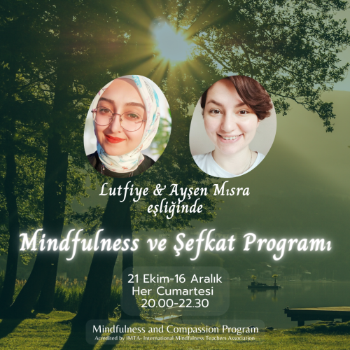 8 Haftalık Mindfulness ve Şefkat Programı