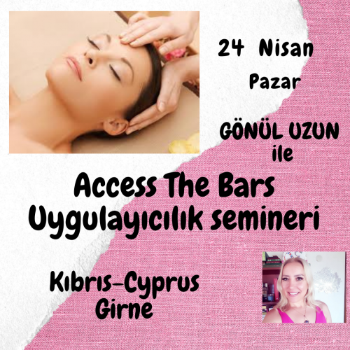 Access The Bars Uygulayıcılık Programı