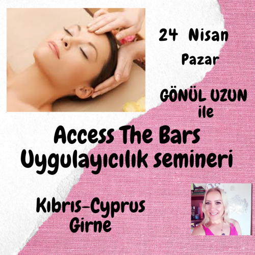 Access The Bars  Uygulayıcılık Eğitimi