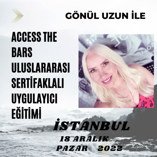 Access The Bars Uygulayıcılık Programı