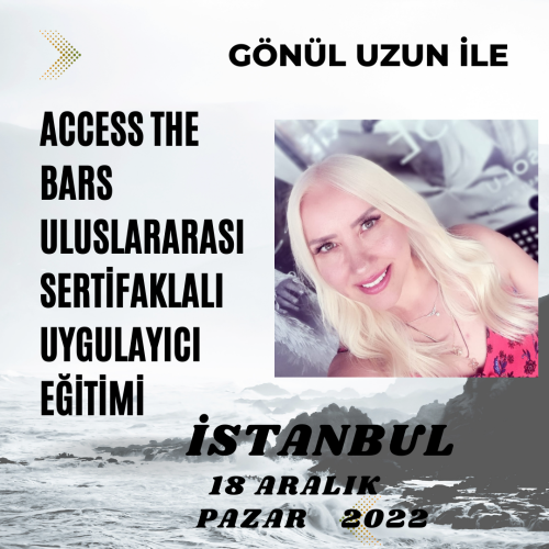 Access The Bars  Uygulayıcılık Eğitimi