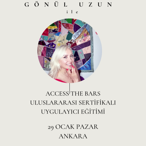 Access The Bars Uygulayıcılık Programı