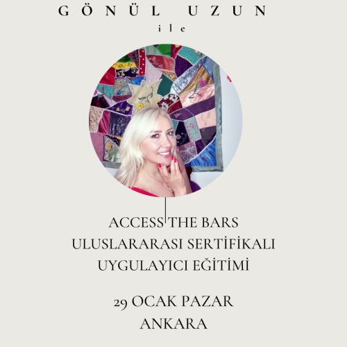 Access The Bars  Uygulayıcılık Eğitimi