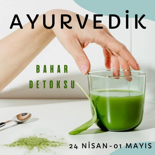 Online Ayurvedik İlkbahar Detoksu - 2