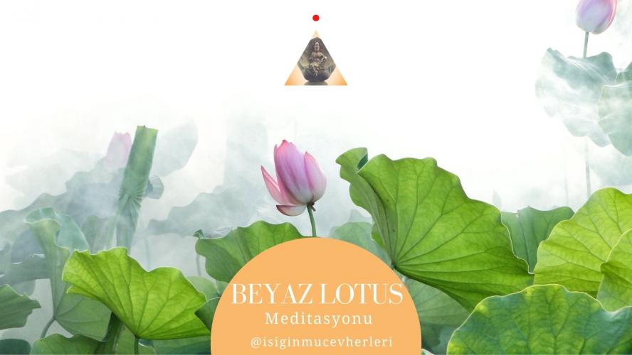 Beyaz Lotus Çiçeği Meditasyonu