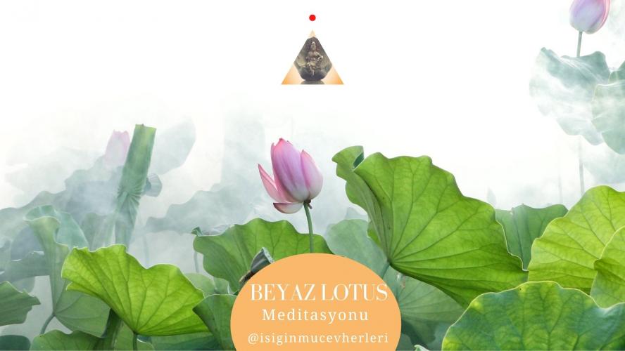 Beyaz Lotus Çiçeği Meditasyonu