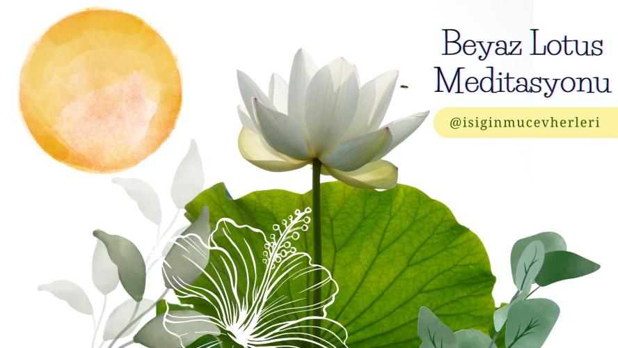 Beyaz Lotus Çiçeği Meditasyonu