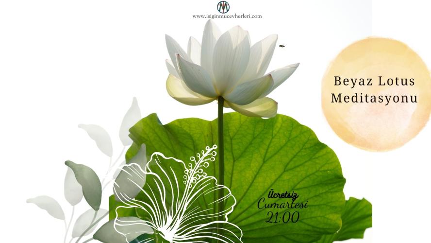 Beyaz Lotus Meditasyonu | Ücretsiz