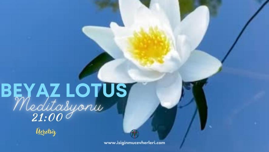 Beyaz Lotus Meditasyonu
