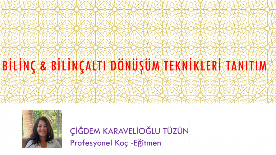 Bilinç ve Bilinçaltı Dönüşüm Teknikleri Tanıtım