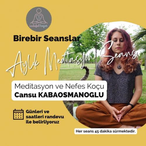 Birebir Aylık Meditasyon Seansları