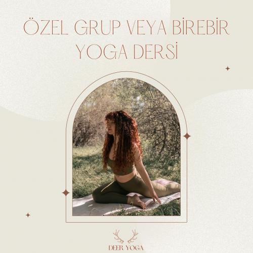 Birebir veya Özel Grup Yoga dersi