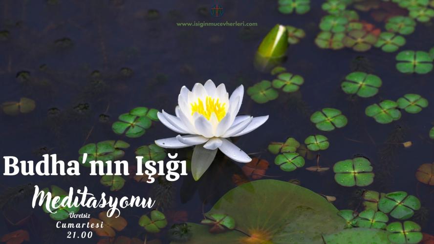 Budha'nın Işığı Meditasyonu