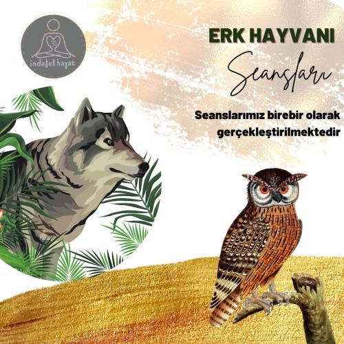 Erk Hayvanını Keşfetme Şamanik Yolculuğu