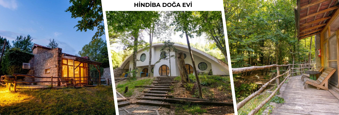 Kadim Bilgiden Modern Dengeye: Ayurveda ve Yoga Kampı
