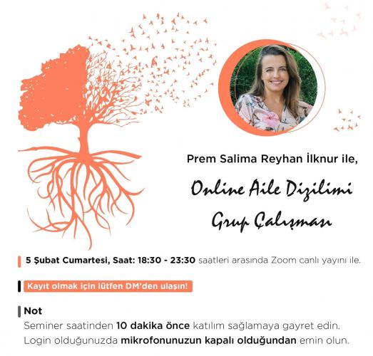 Aile Sistem Dizilimi