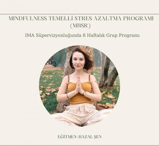 Mbsr Programı