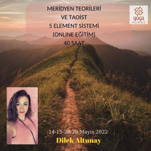 Meridyen Teorileri ve Taoist 5 Element Sistemi