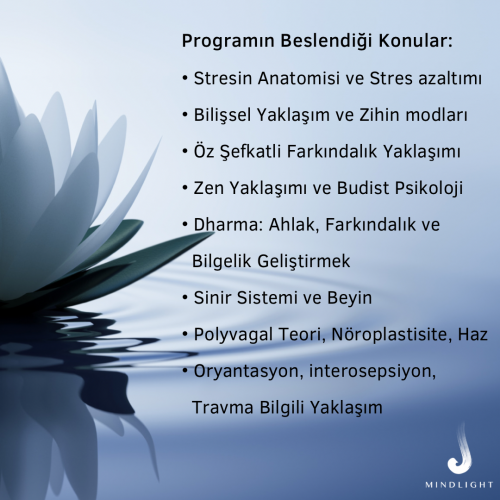 Mindfulness ve Şefkat Programı