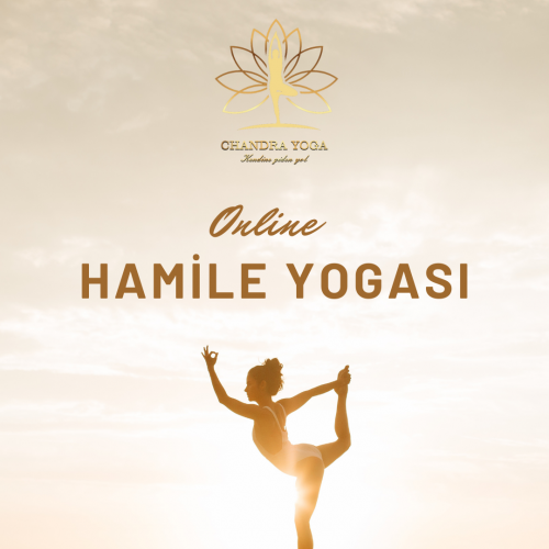 Online Hamile Yogası