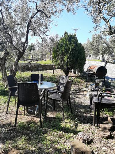 Psikoseansst Aygün Özkapu ile Hill Camp Mudanya'da Aile Sistem Dizimi Kampı