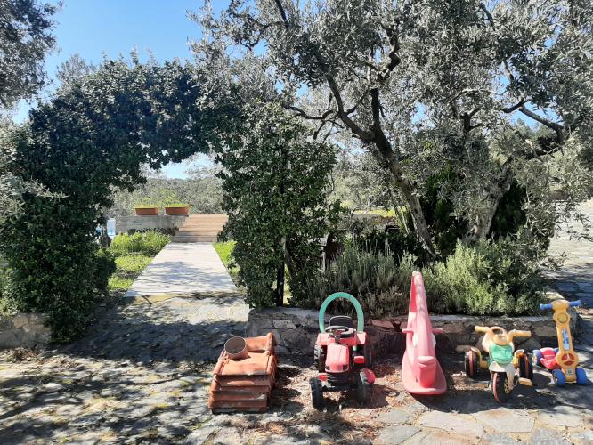 Psikoseansst Aygün Özkapu ile Hill Camp Mudanya'da Aile Sistem Dizimi Kampı