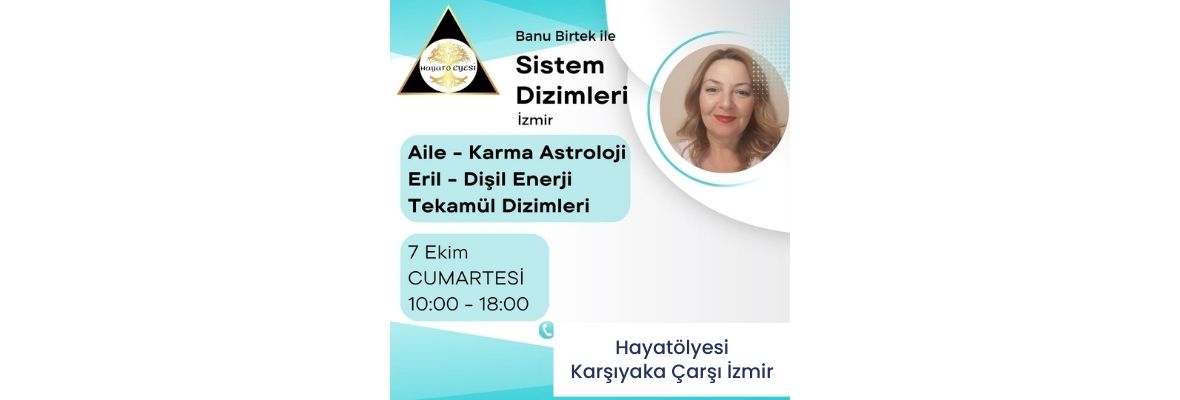 Sistem Dizimleri Grup Çalışması