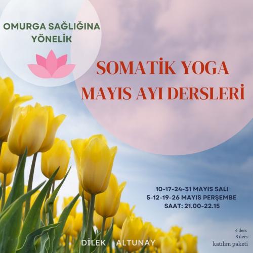 Somatik Yoga Mayıs Ayı Dersleri