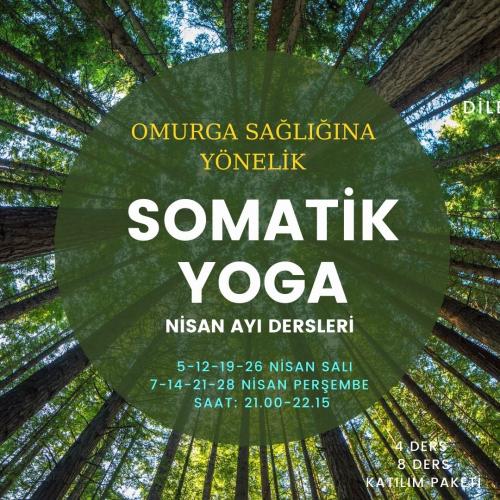 Somatik Yoga Nisan Ayı Dersleri