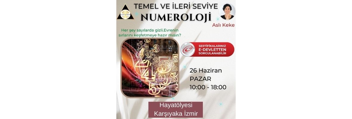 Temel ve İleri Seviye Numeroloji Programı