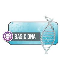 ThetaHealing Basic DNA Programı