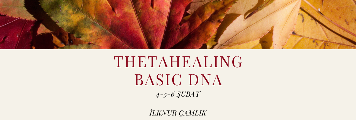 Thetahealing Basıc DNA Semineri