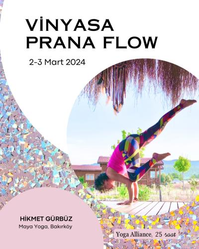 Vinyasa Praana Flow