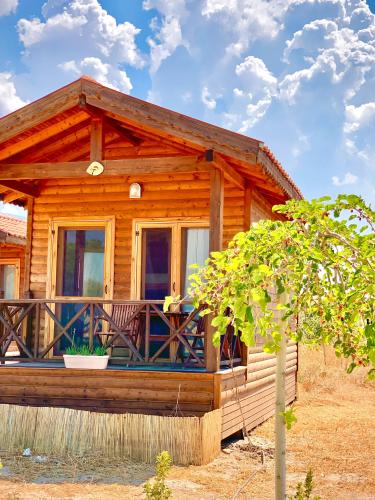Maya Retreat Center / Tek Kişilik Bungalov Evde / Kişi Başı Konaklama