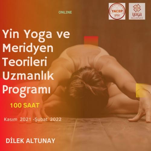 Yin Yoga Uzmanlık Programı -100 Saat