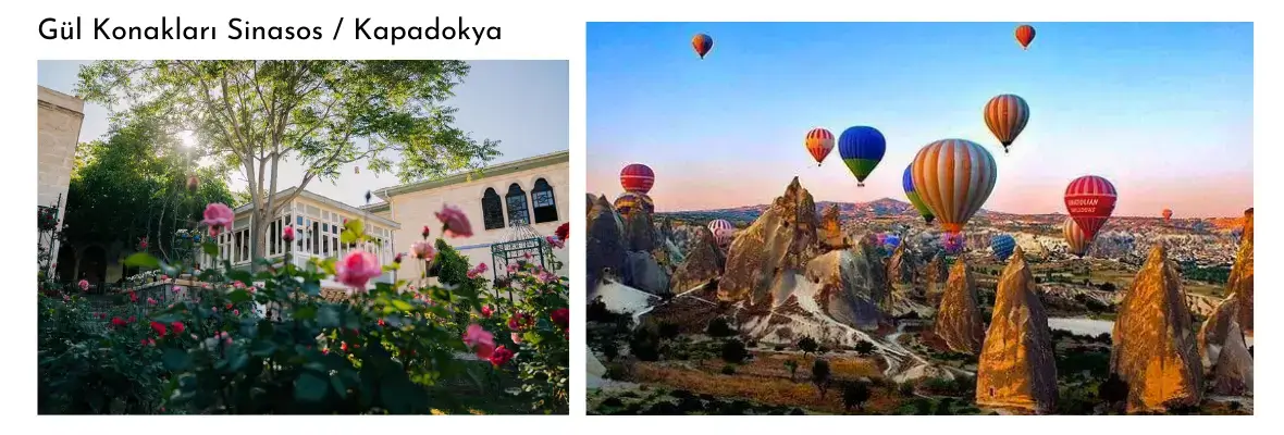 Kapodokya'da Sivananda Yoga ile Mistik Yaprak Dökümü Zarafeti