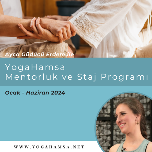 Yogahamsa Mentorluk ve Staj Programı