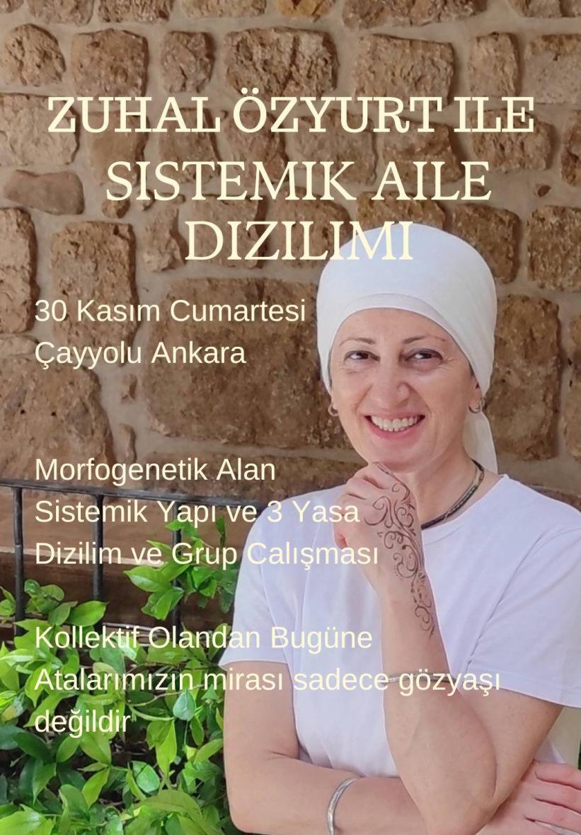 Sistemik Aile Sistem Dizilimi Grup Çalışması - Ankara
