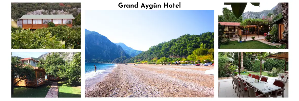 Çıralı Yeni Yıla Giriş Yoga ve Meditasyon Kampı|Burcu-Özkan 72.Kamp Bu Çıralı Yeni Yıla Giriş Yoga ve Meditasyon Kampı|Burcu-Özkan 72.Kamp Bu