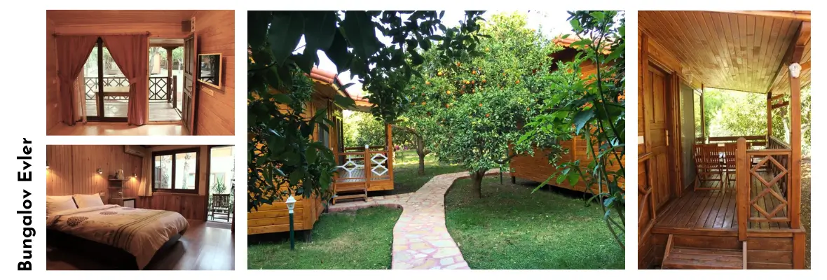 Çıralı Yeni Yıla Giriş Yoga ve Meditasyon Kampı|Burcu-Özkan 72.Kamp Bu Çıralı Yeni Yıla Giriş Yoga ve Meditasyon Kampı|Burcu-Özkan 72.Kamp Bu