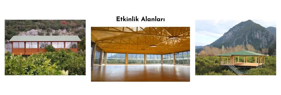 Çıralı Yeni Yıla Giriş Yoga ve Meditasyon Kampı|Burcu-Özkan 72.Kamp Bu Çıralı Yeni Yıla Giriş Yoga ve Meditasyon Kampı|Burcu-Özkan 72.Kamp Bu