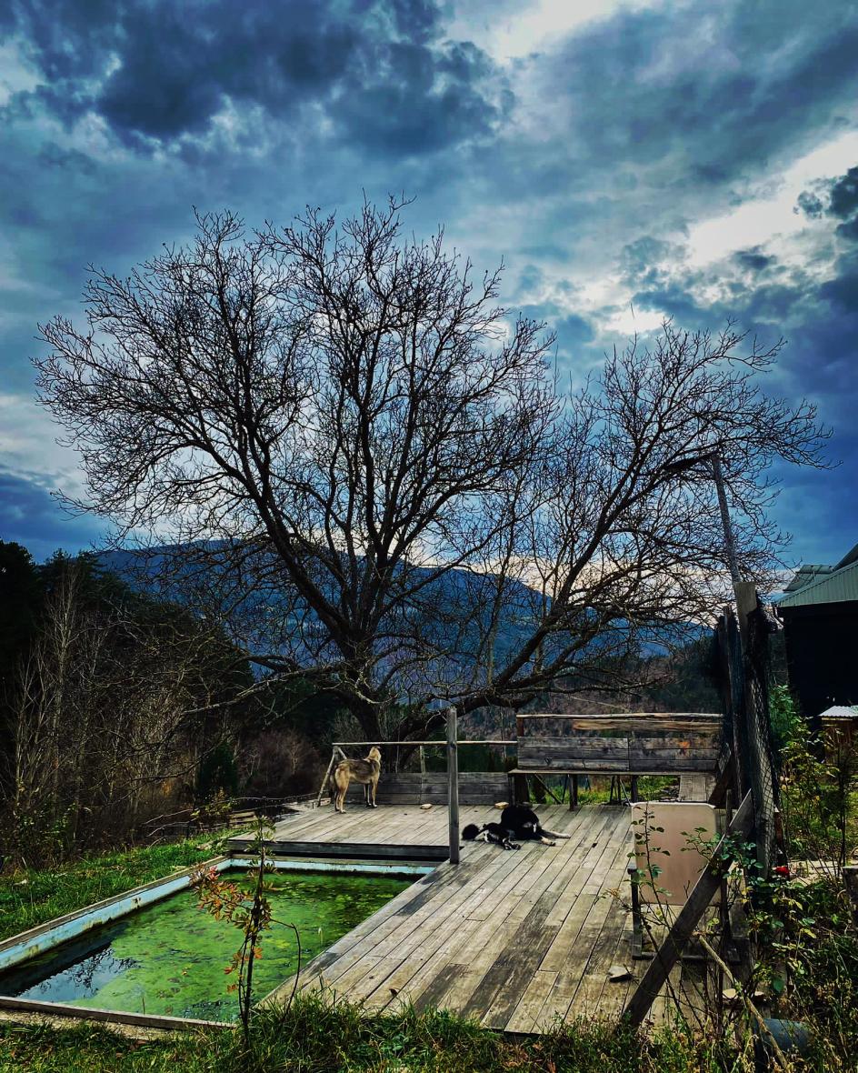 Kurban Bayramı'nda Bolu | Yoga, Doğal Nefes ve Koçluk Kampı Nurhan Kad